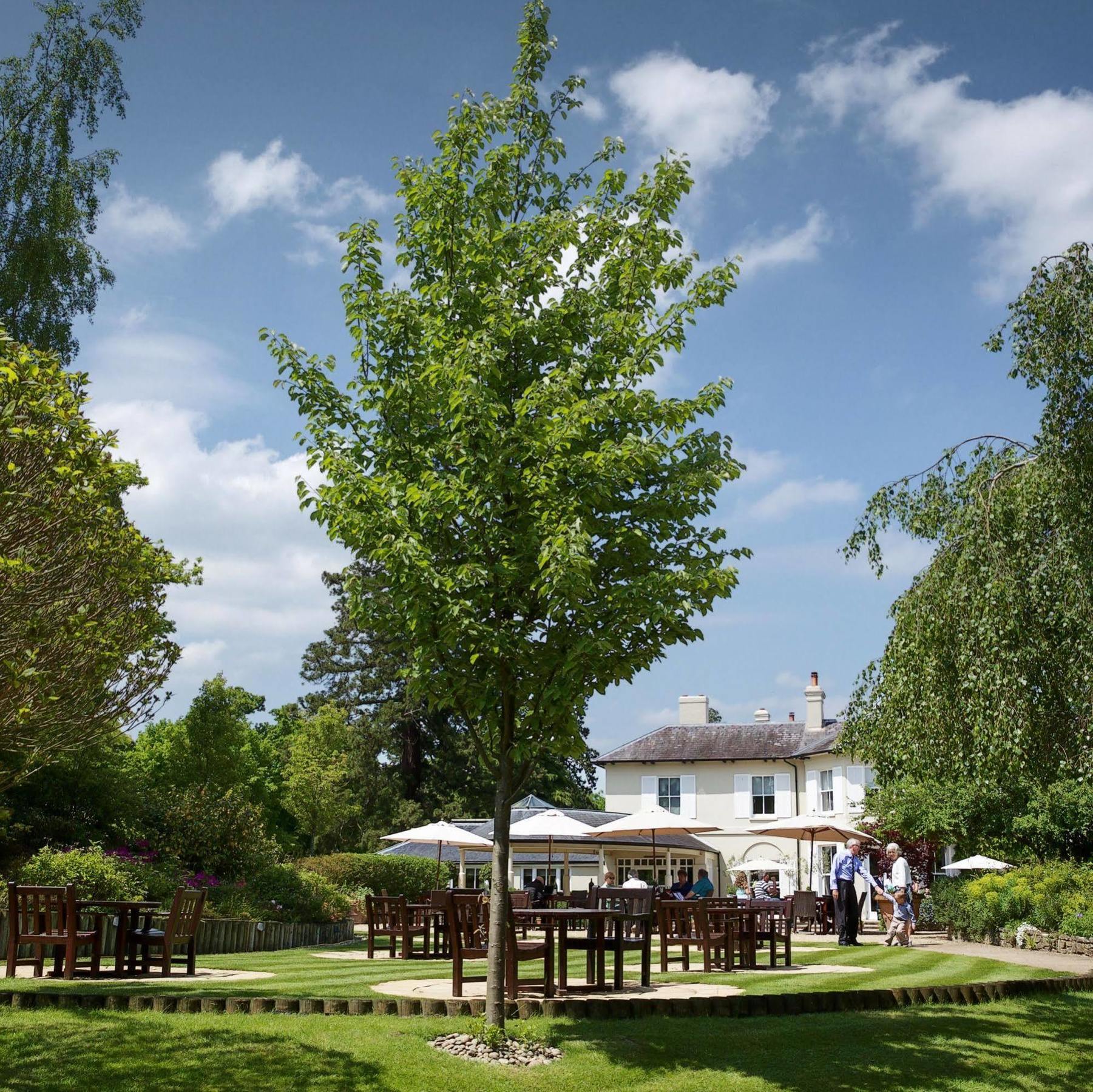 The Vineyard Hotel & Spa Newbury  Zewnętrze zdjęcie